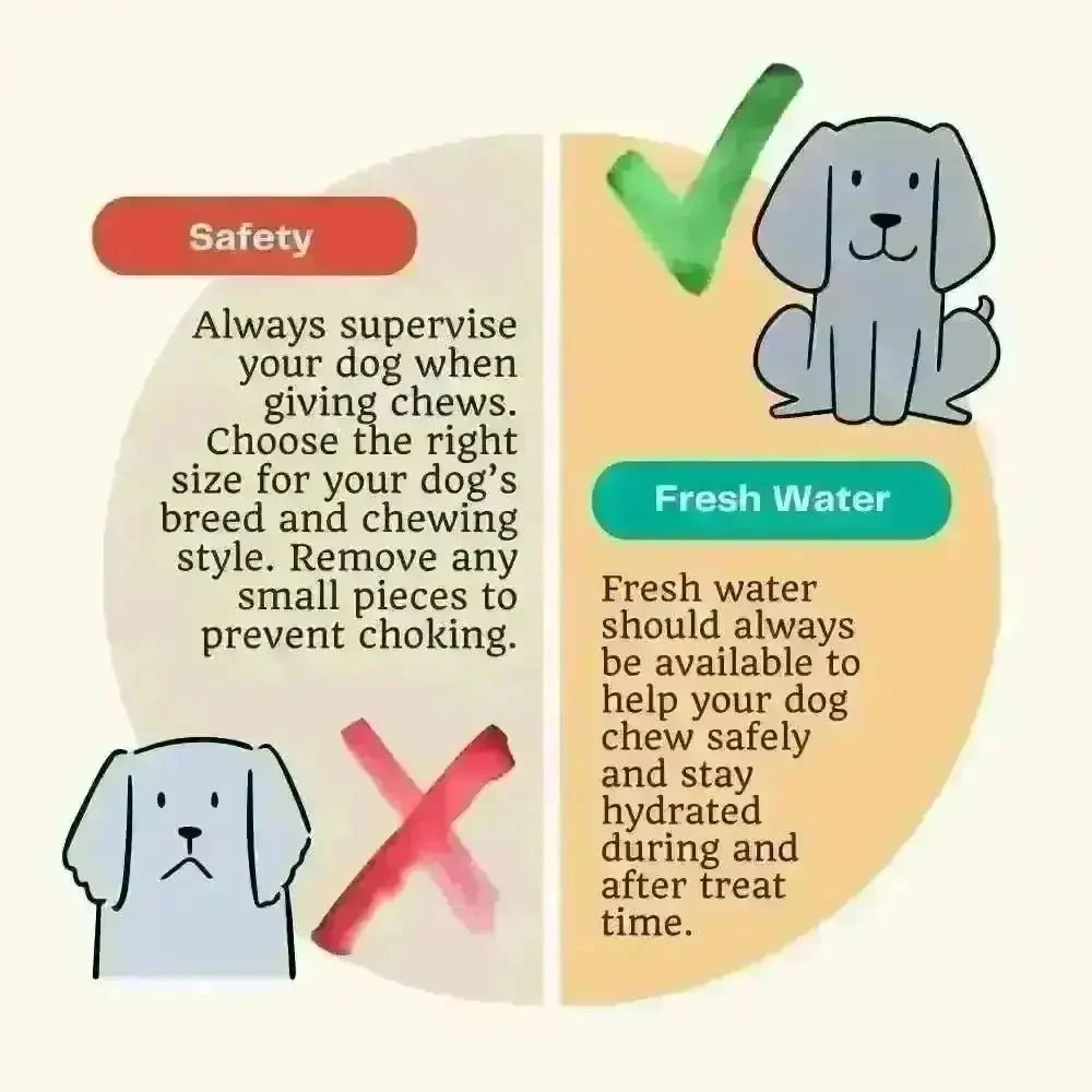 Chicken Neck Natural Meat Chew For Dogs