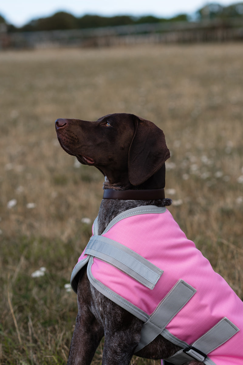 Classic Waterproof Dog Coat 150g - Baby Pink