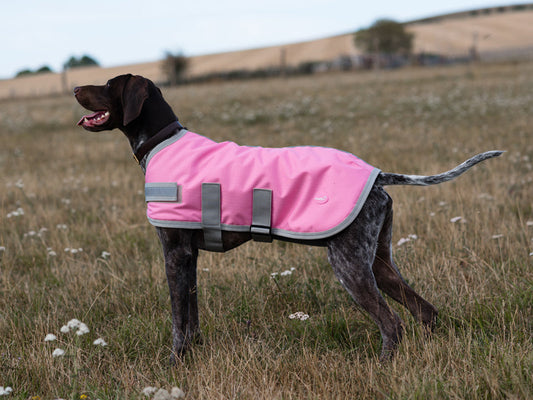 Classic Waterproof Dog Coat 150g - Baby Pink