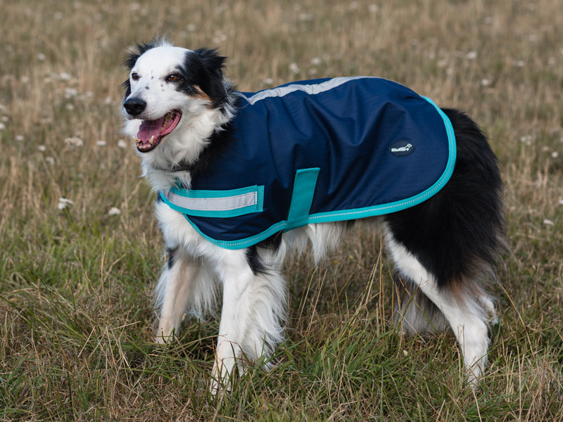 Classic Waterproof Dog Coat - Navy 150g