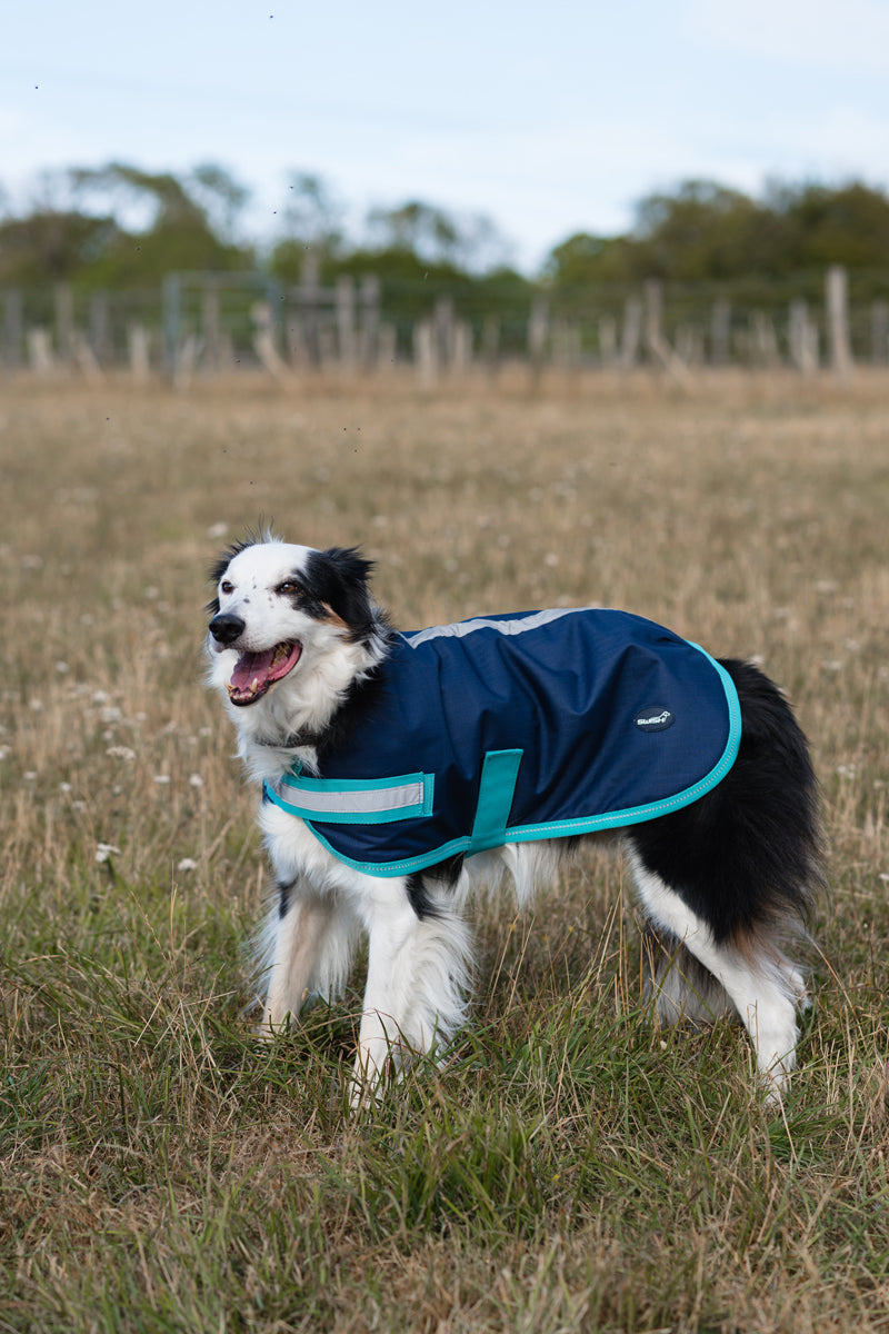 Classic Waterproof Dog Coat - Navy 250g