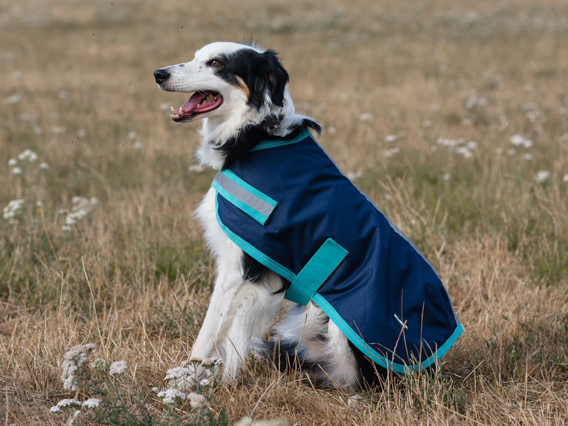 Classic Waterproof Dog Coat - Navy 150g