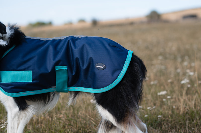 Classic Waterproof Dog Coat - Navy 150g