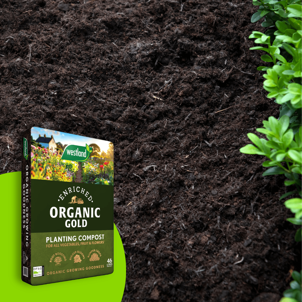 Organic Gold Planting Compost 46ltr Bulk Buy