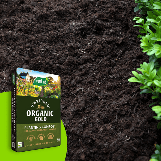 Organic Gold Planting Compost 46ltr Bulk Buy