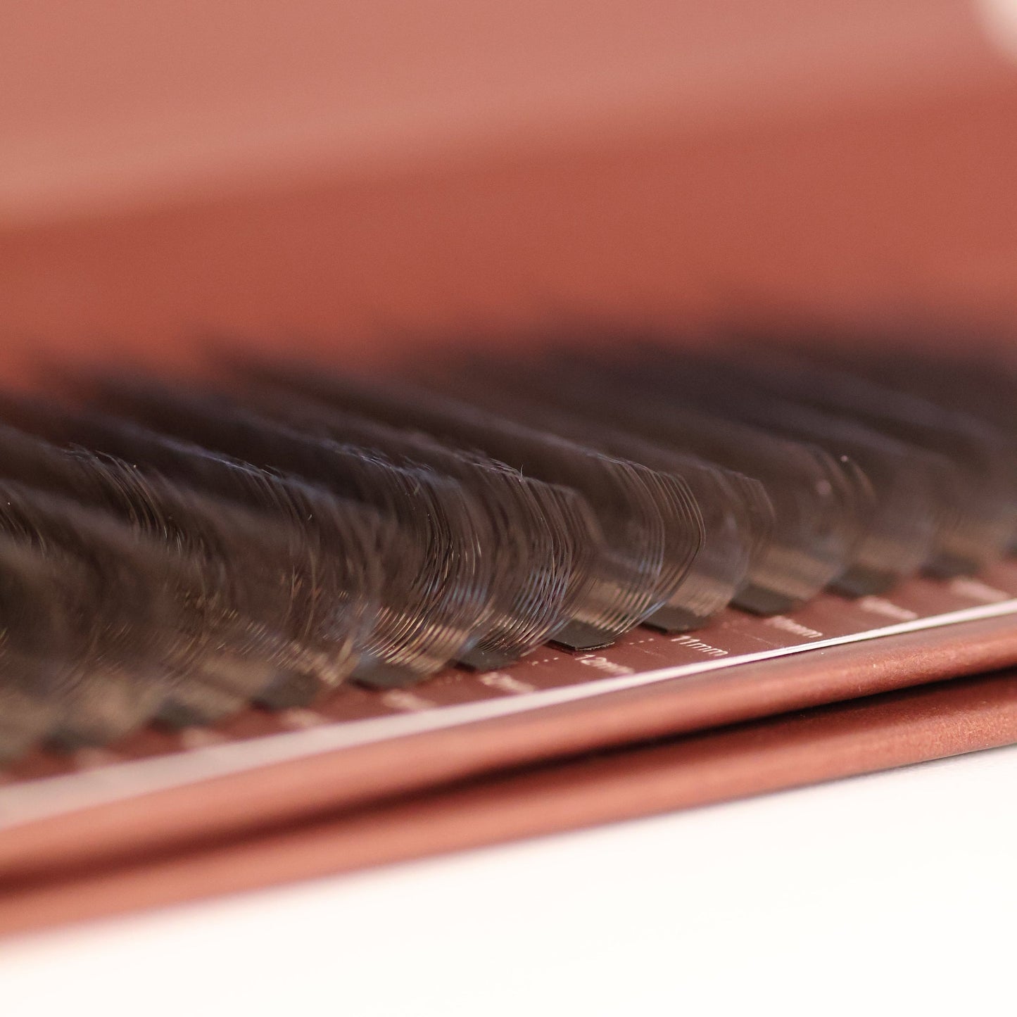 Brown W Lashes – Mixed Tray