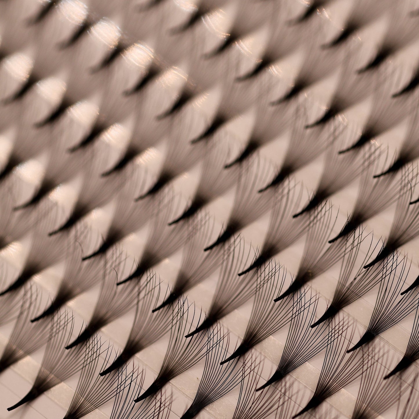 Platinum Ultra Black Promade Trays 920 Fans