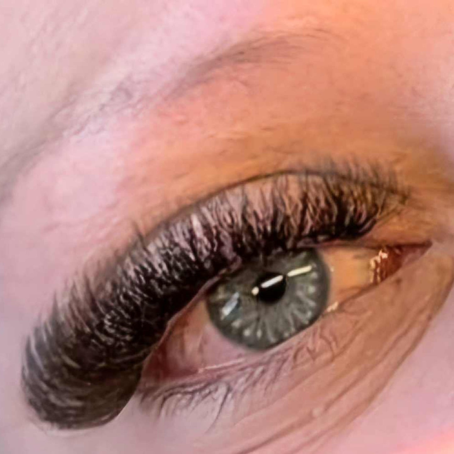 Brown 6D Clover Lashes – 16 Row Single Length Trays