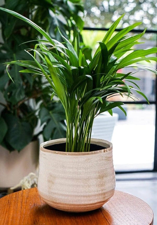 Como Hand Finished Pot 17-21cm Diameter