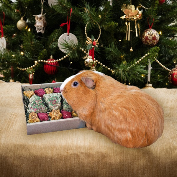 Festive Cookies Forage Gift Tray