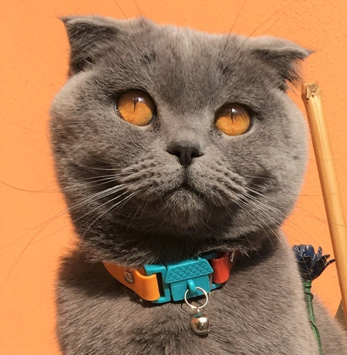 KITTYRAMA COPACABANA CAT COLLAR - Quick Release, Breakaway, Hypoallergenic