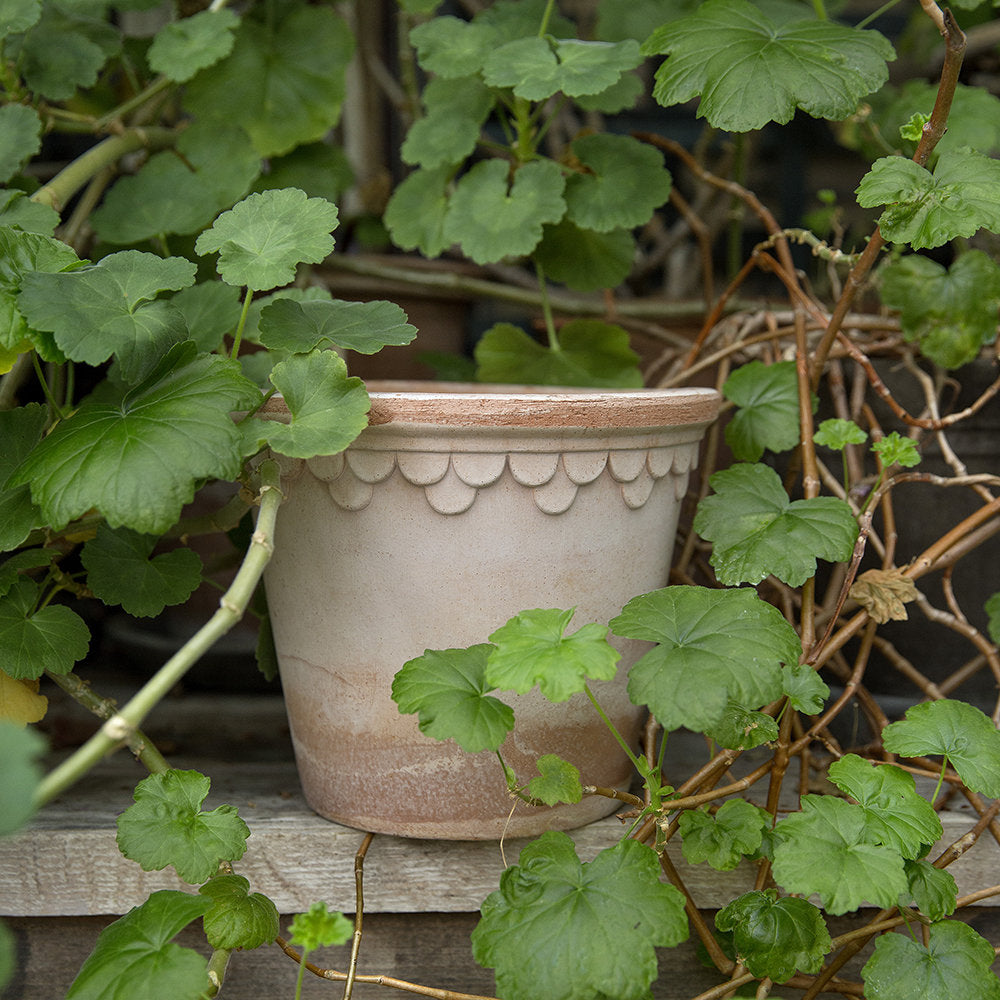 Copenhagen Pot