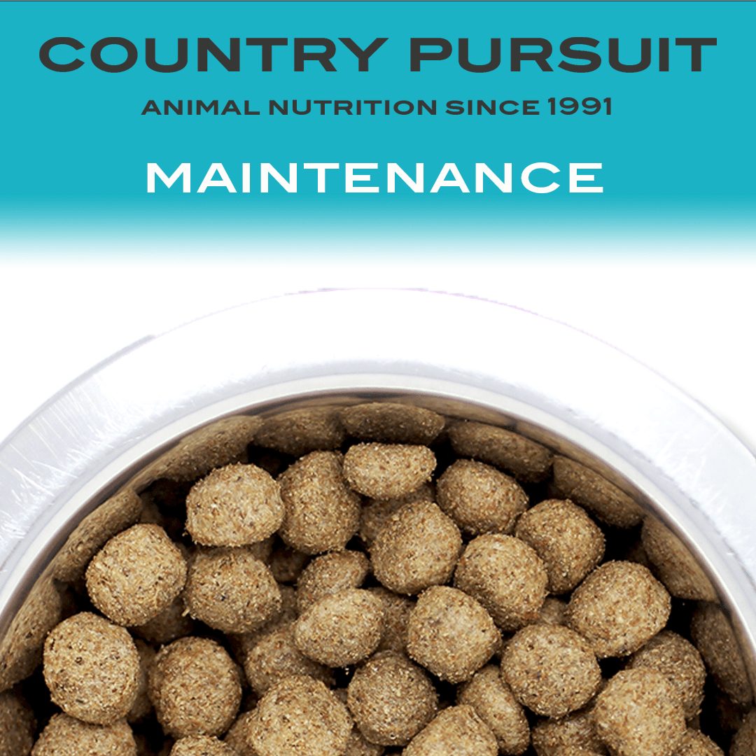 Country Pursuit Maintenance Lifestyle Adult Dog Food 3kg