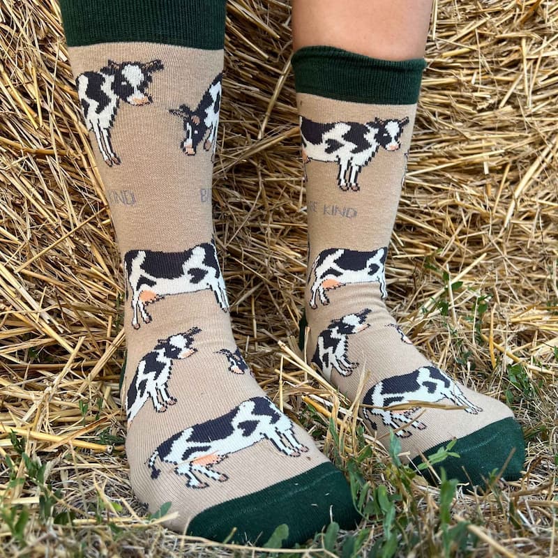 Farm Rainbow Bundle of 4 Bamboo Sock Set