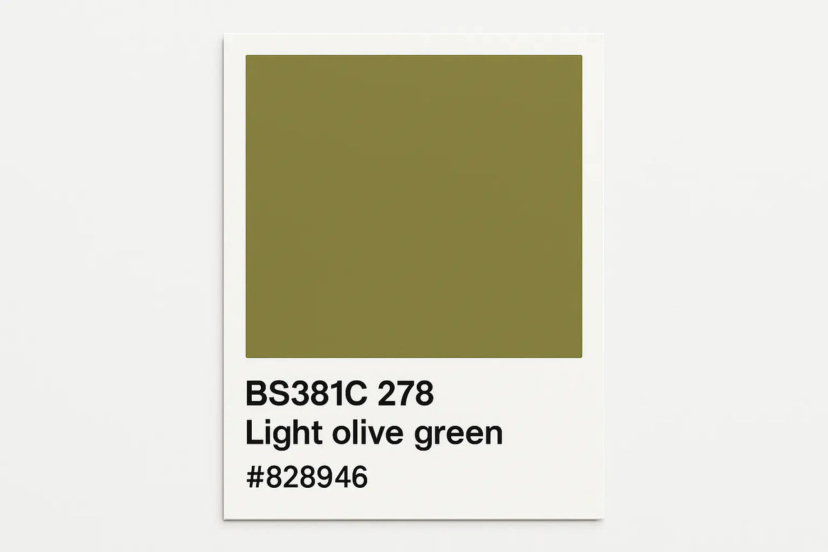 381C 278 Light olive green 400ml Aerosol Available in any Finish
