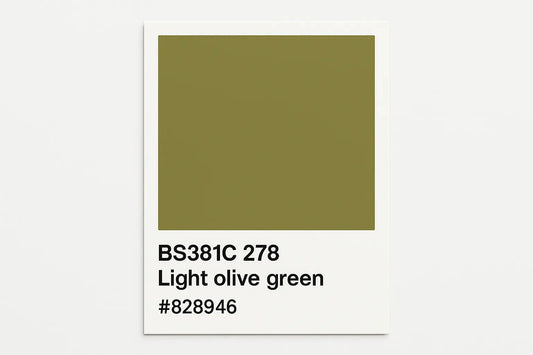 381C 278 Light olive green 400ml Aerosol Available in any Finish