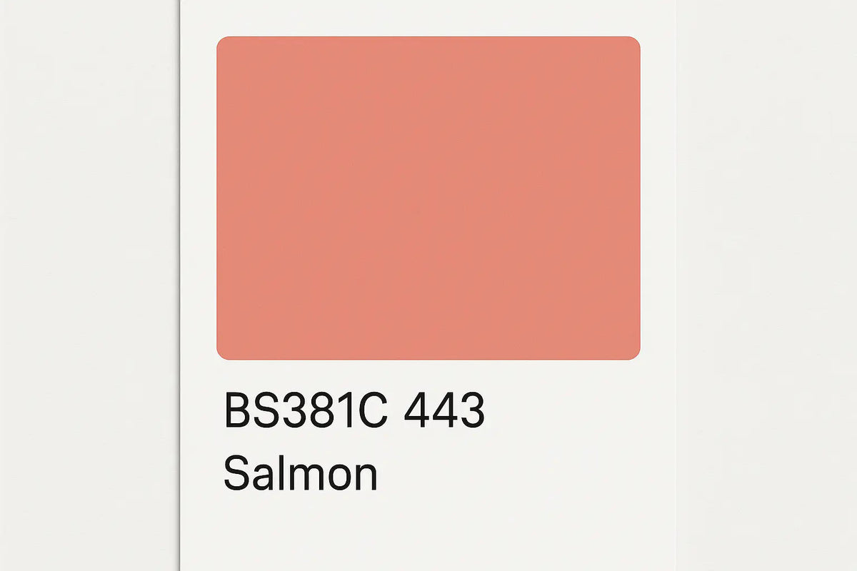 381C 443 Salmon 400ml Aerosol Available in any Finish