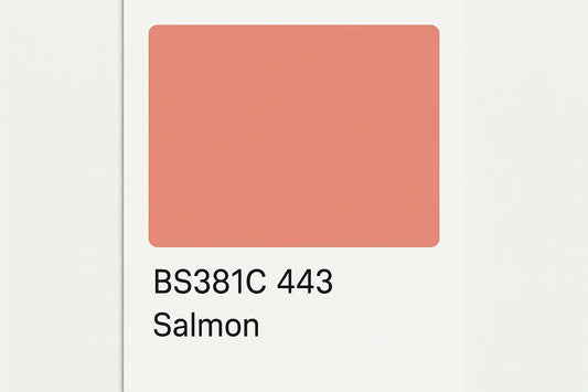 381C 443 Salmon 400ml Aerosol Available in any Finish