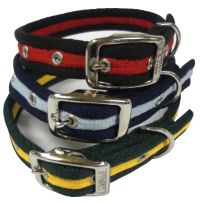 Cushion Web Dog Collar
