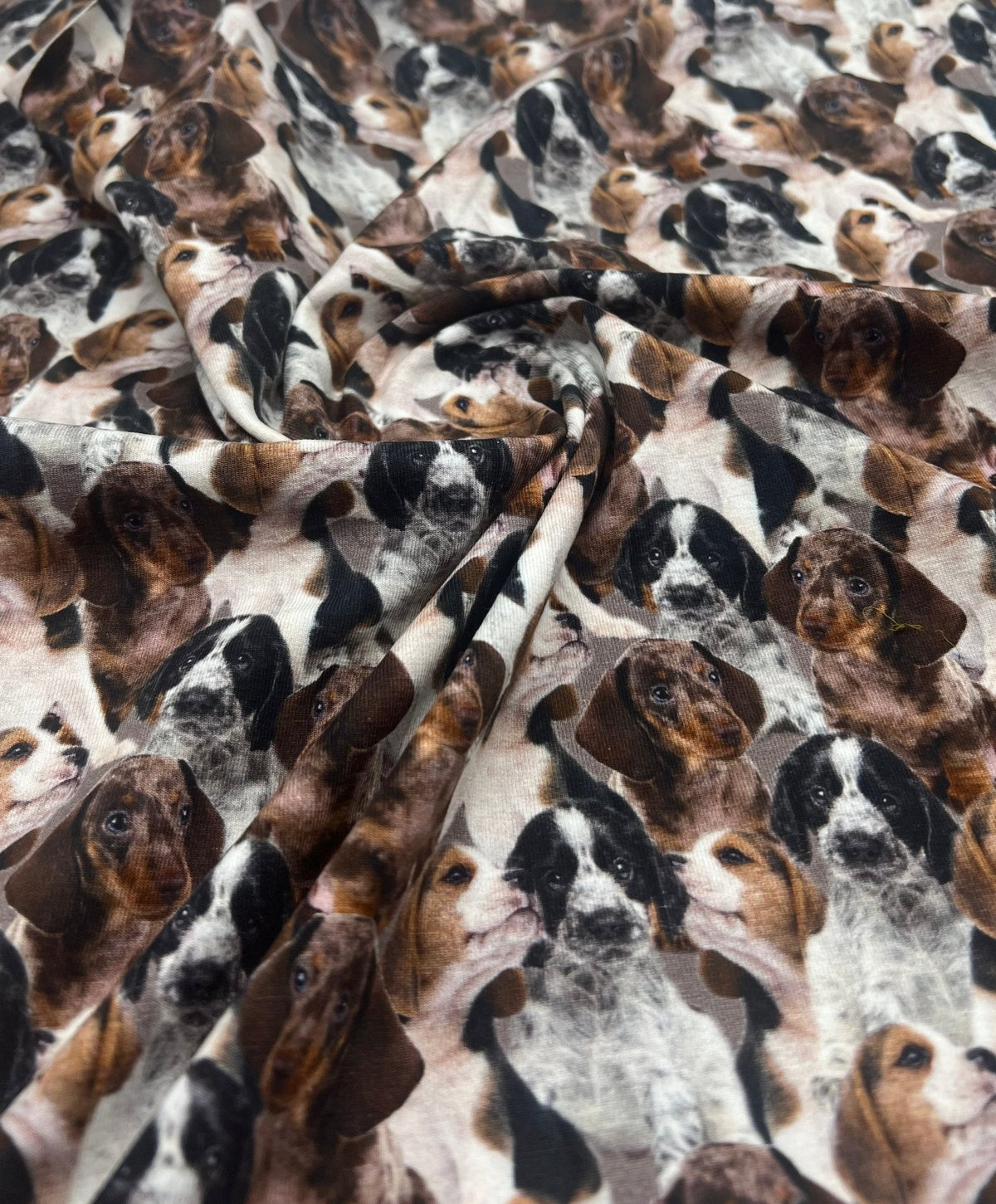 Cute Puppies Cotton Stretch Jersey 200 GSM 95/5 Lycra 4 Way Stretch