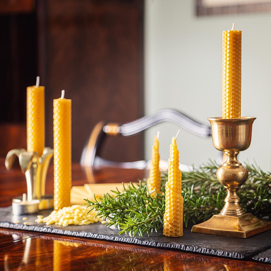 Natural Beeswax Candle Making Kit — A STEAM Kit for Adults | Four Candle Techniques | Native British Wildflower Seeds | Made in the UK