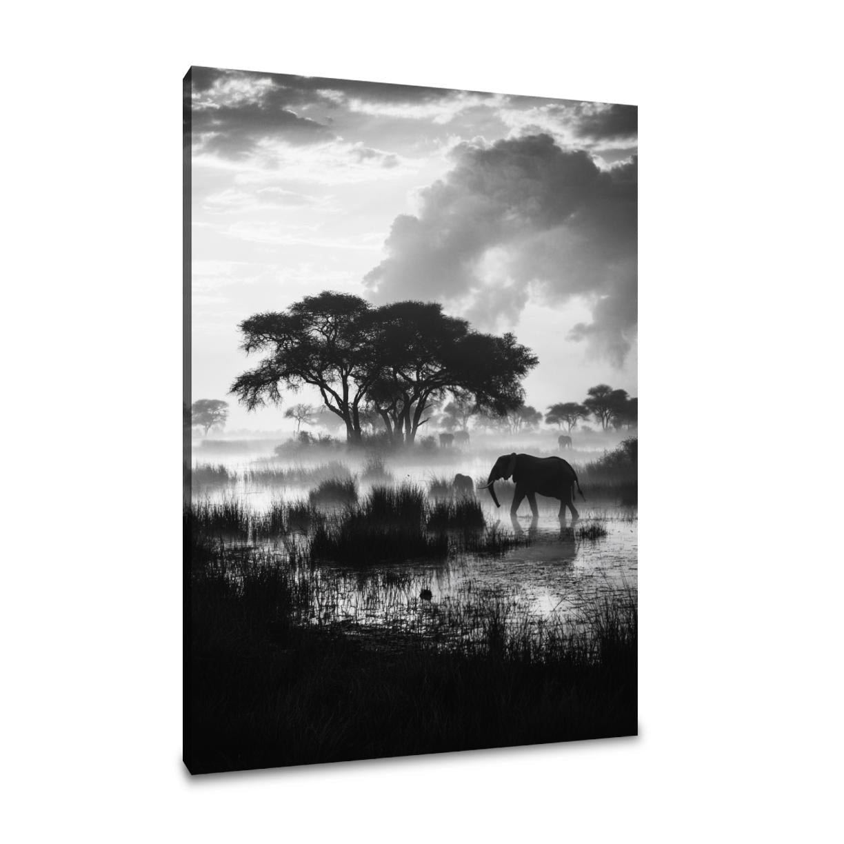 Botswana Twilight Reflections Canvas