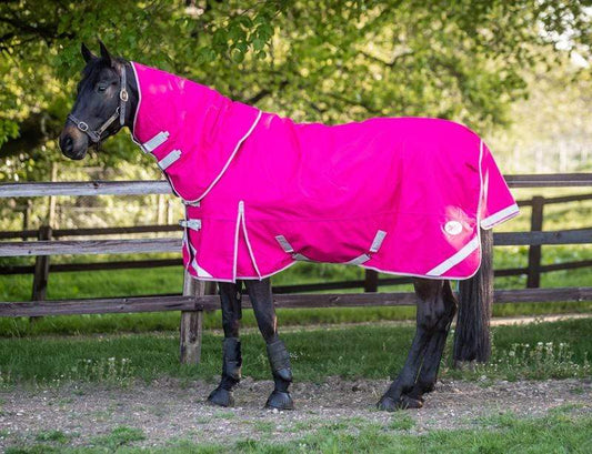 200g Detachable Neck Turnout Rug - Pink