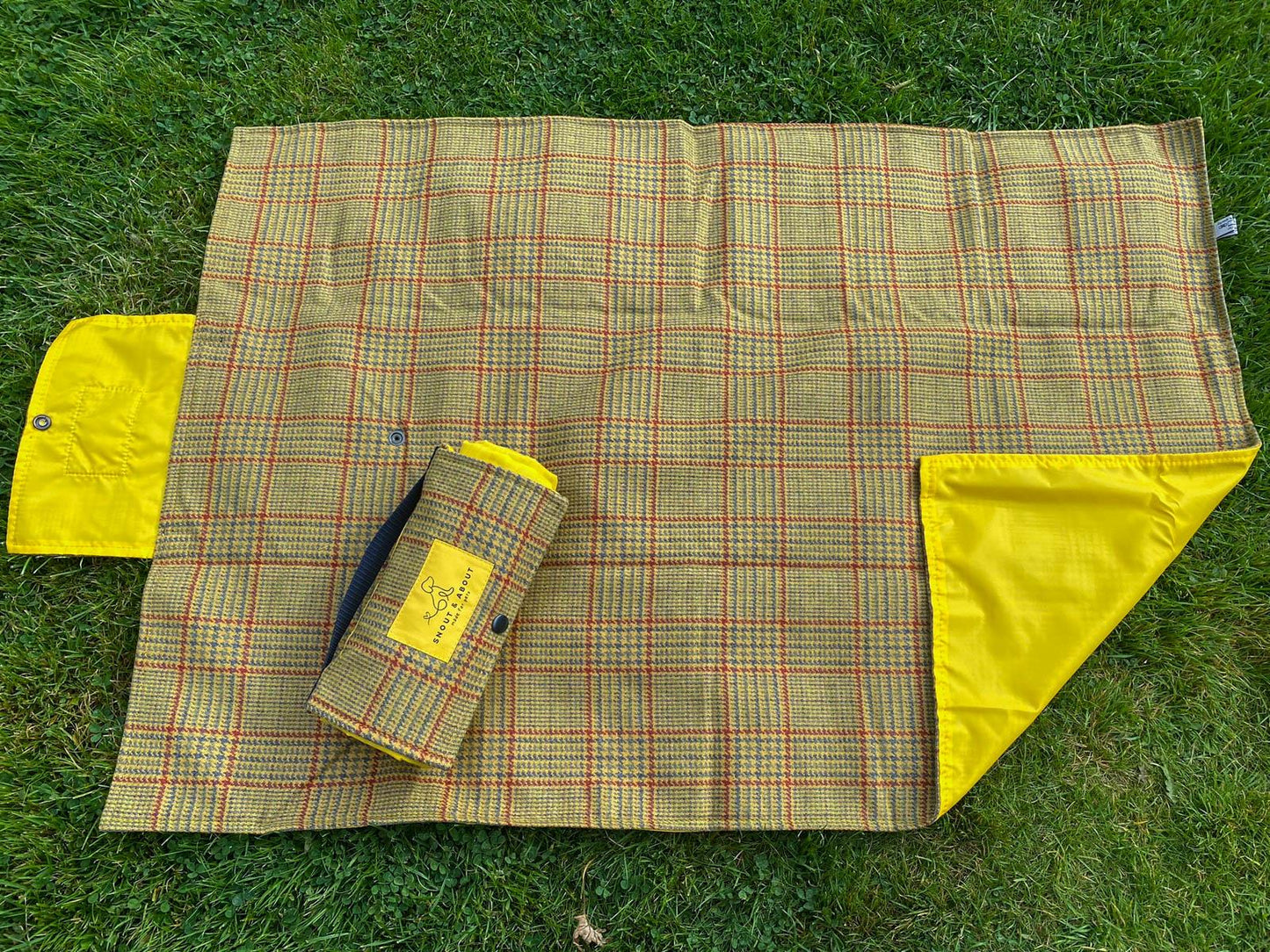 Summer's Day Tweed Wool Dog Mat