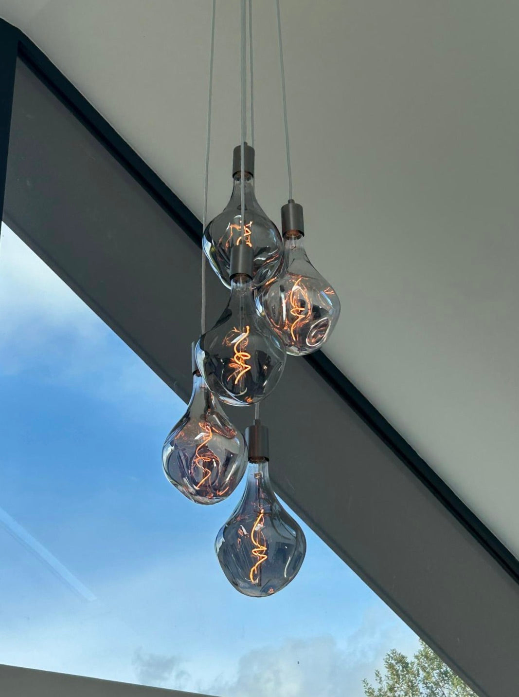 Quintet Evo Cluster Pendant Light
