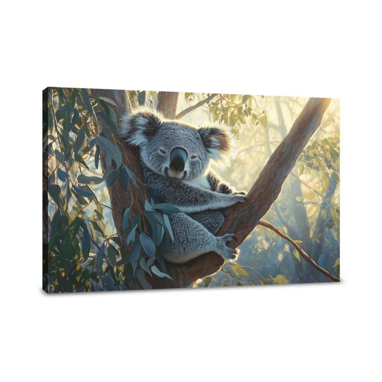 Koala Dawn Canvas