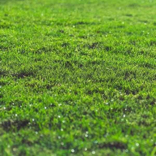 Rootzone Sand and Soil Mix