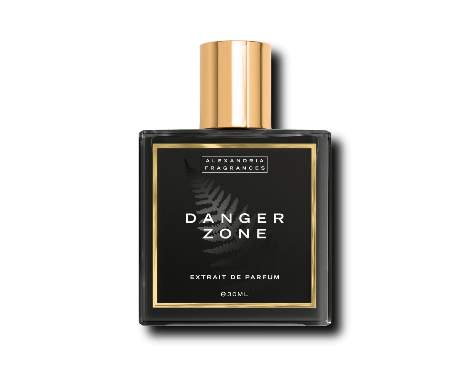 Danger Zone Inspired By Roja Dove Danger Pour Homme
