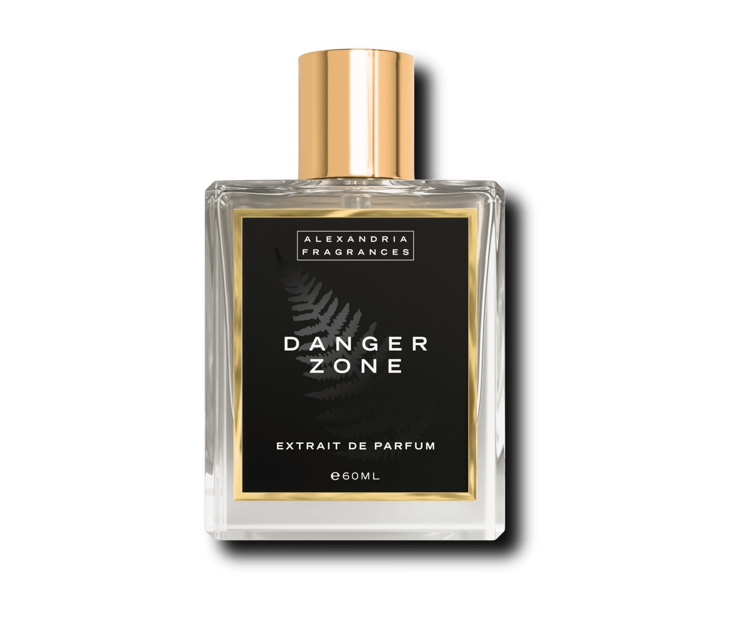 Danger Zone Inspired By Roja Dove Danger Pour Homme