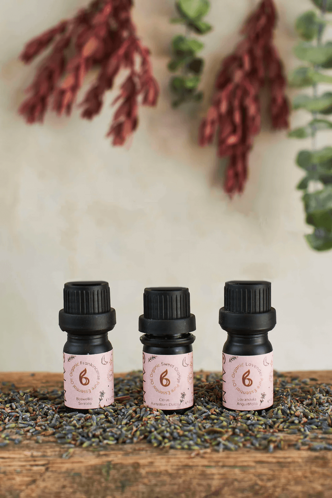 Breathe Calm Essential Oil Set