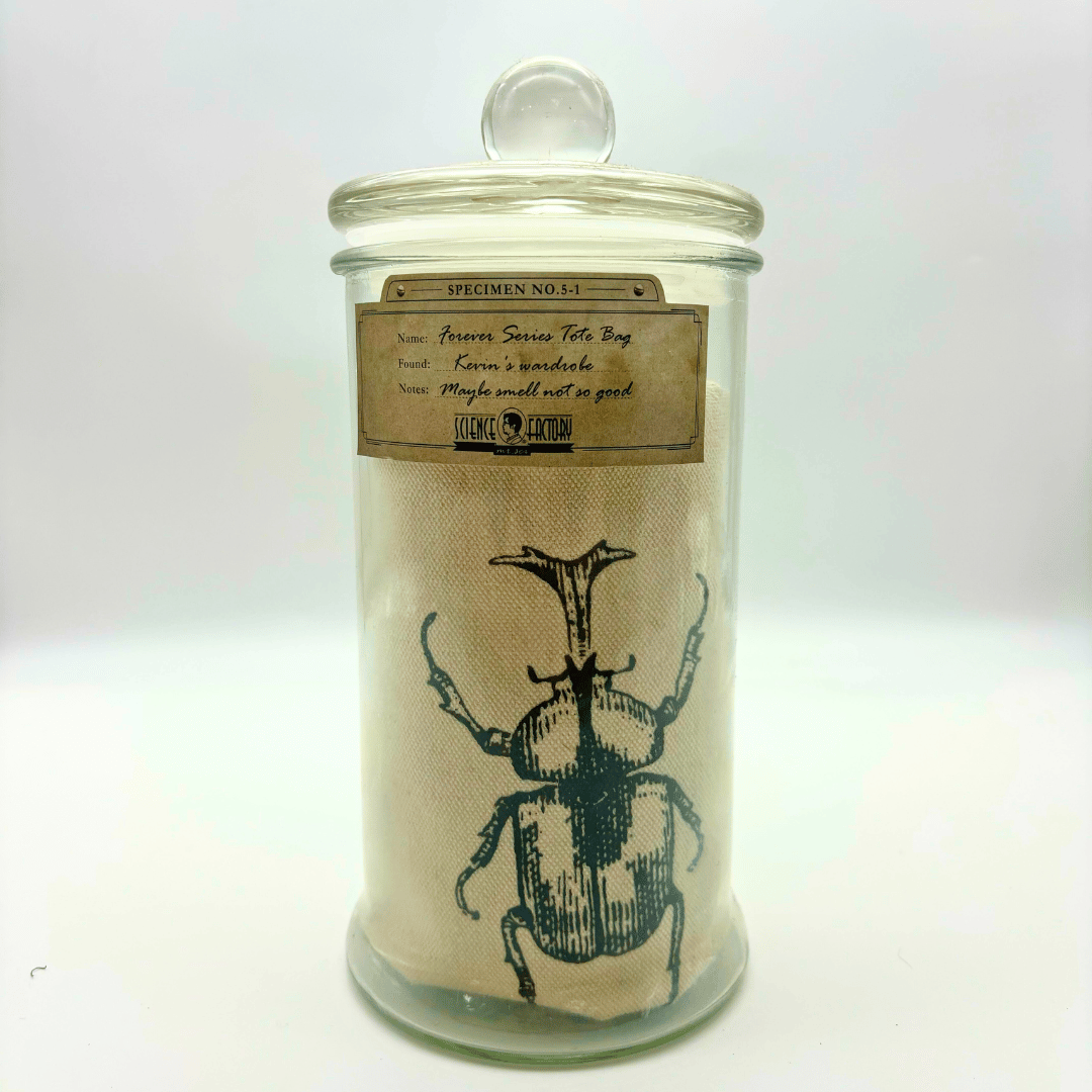 Mr Sci Glass Specimen Jar & Science Tote Bag Fighting Forever (Beetle)