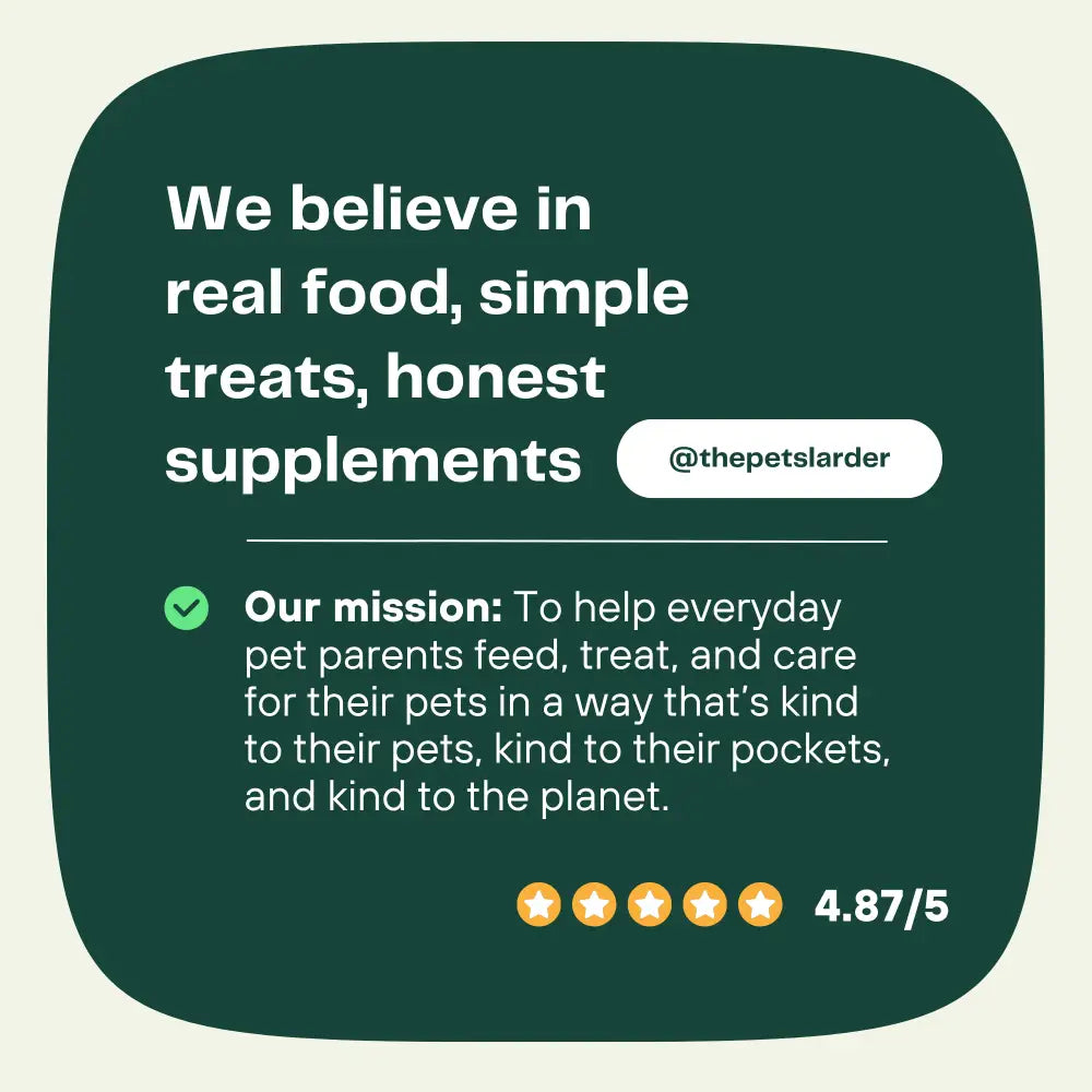 Dental Seaweed for Dogs: Plaque Removal