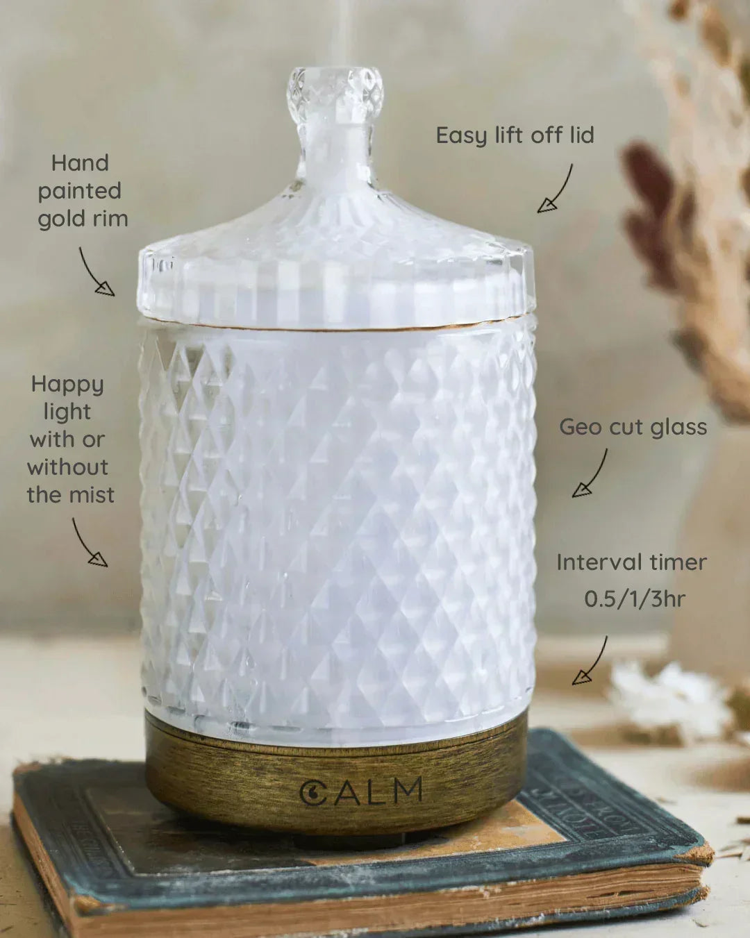 Aroma Diffuser with Blended Oil Steps