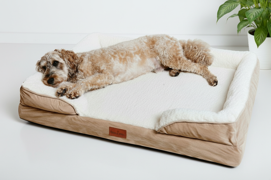 The Belgravia Orthopaedic Dog Sofa™ - Xl