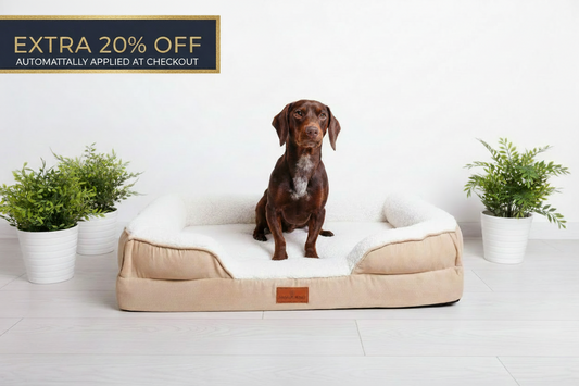 The Belgravia Orthopaedic Dog Sofa™ - Medium