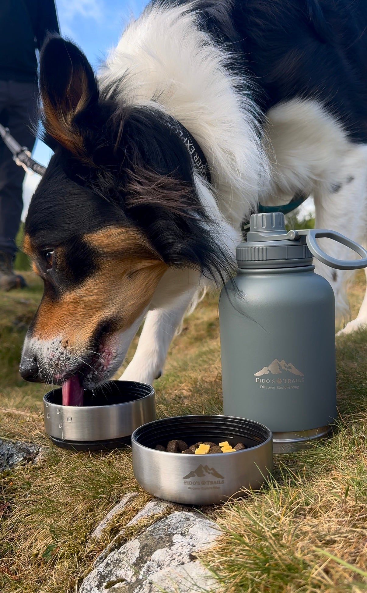 3-in-1 Dog Water Bottle – Mountain Grey | Portable Travel Bottle