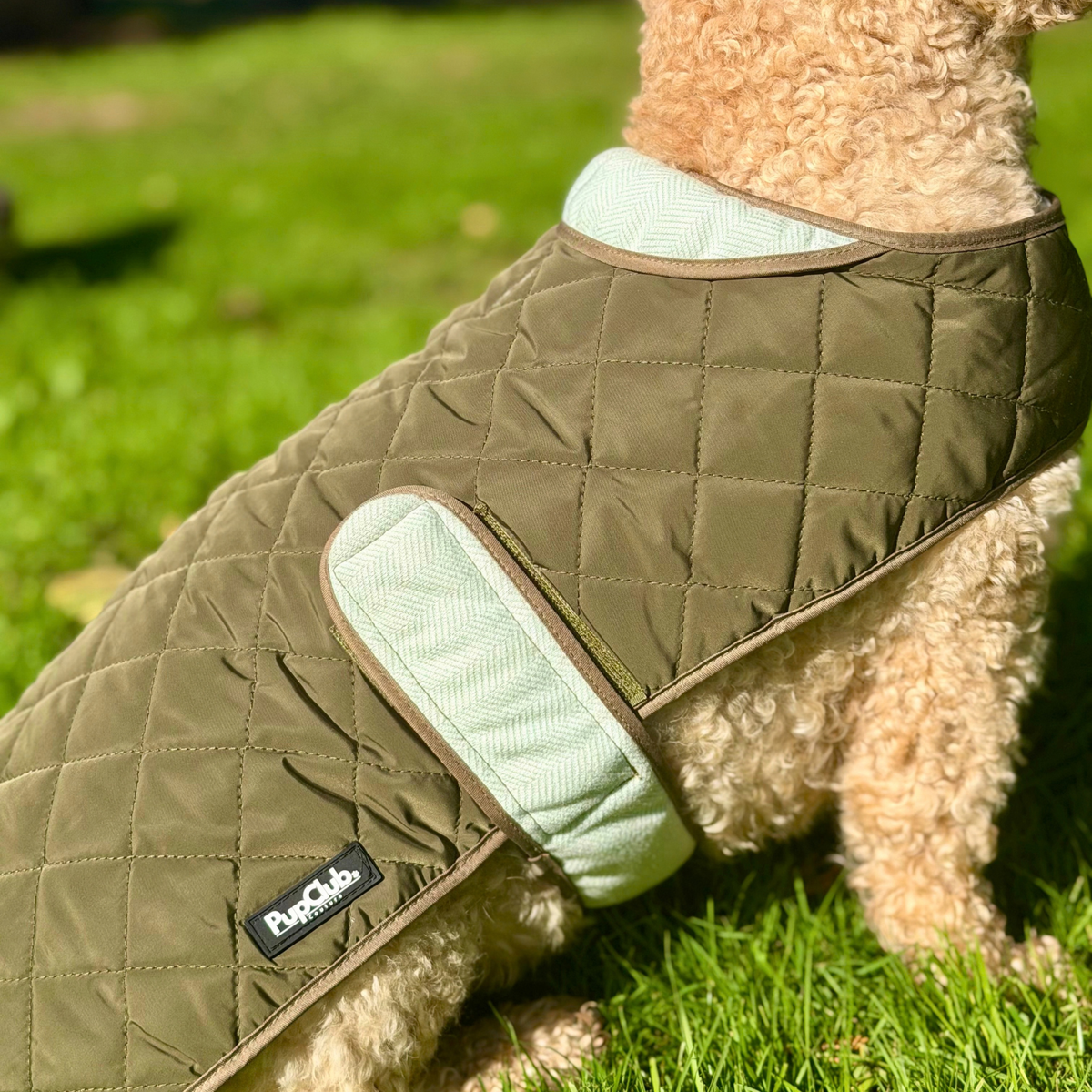 Quilted Dog Coat - Khaki Tweed