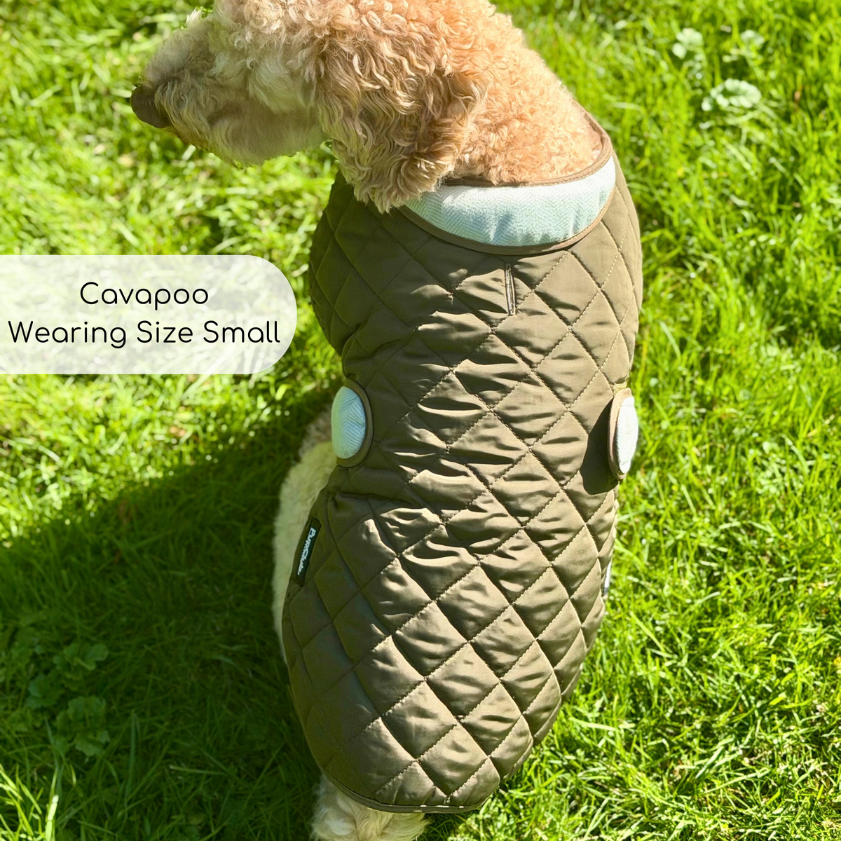 Quilted Dog Coat - Khaki Tweed