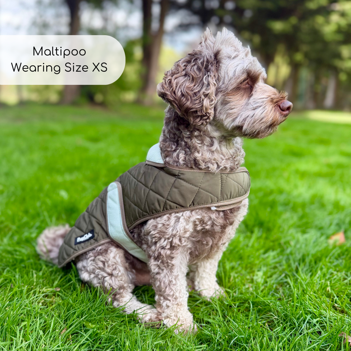Quilted Dog Coat - Khaki Tweed