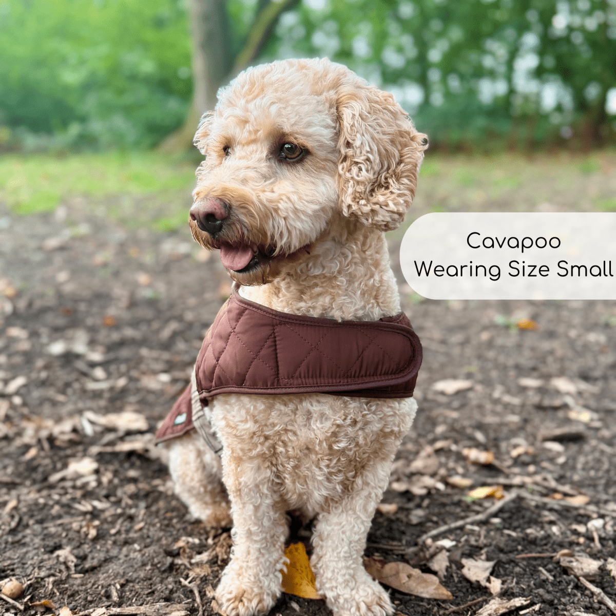 Quilted Dog Coat - Foxbury Plaid