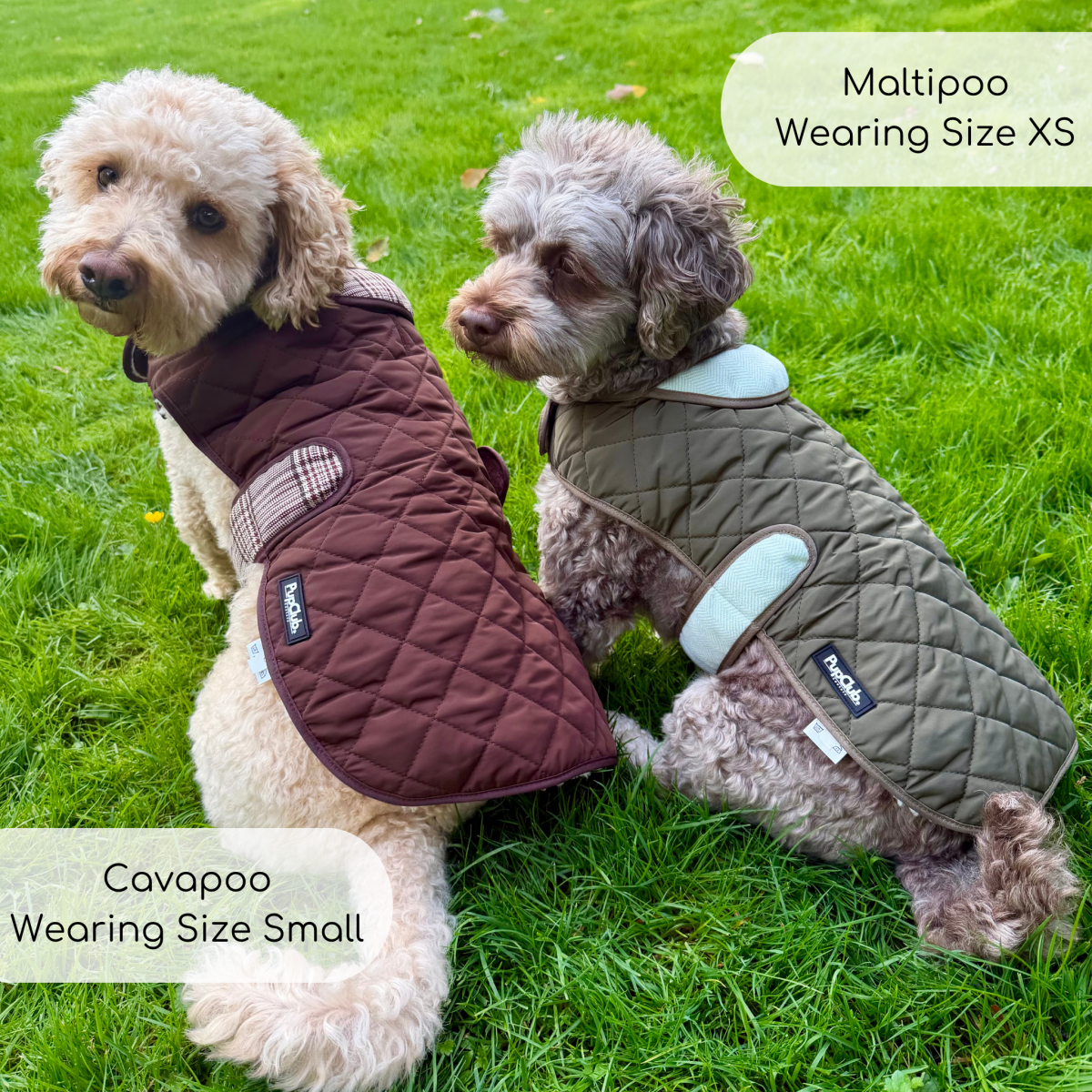 Quilted Dog Coat - Khaki Tweed