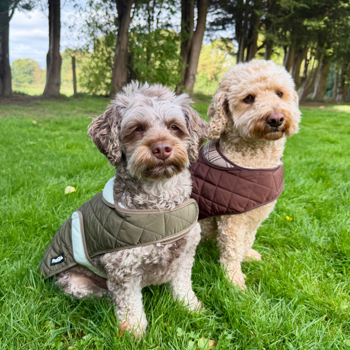 Quilted Dog Coat - Foxbury Plaid