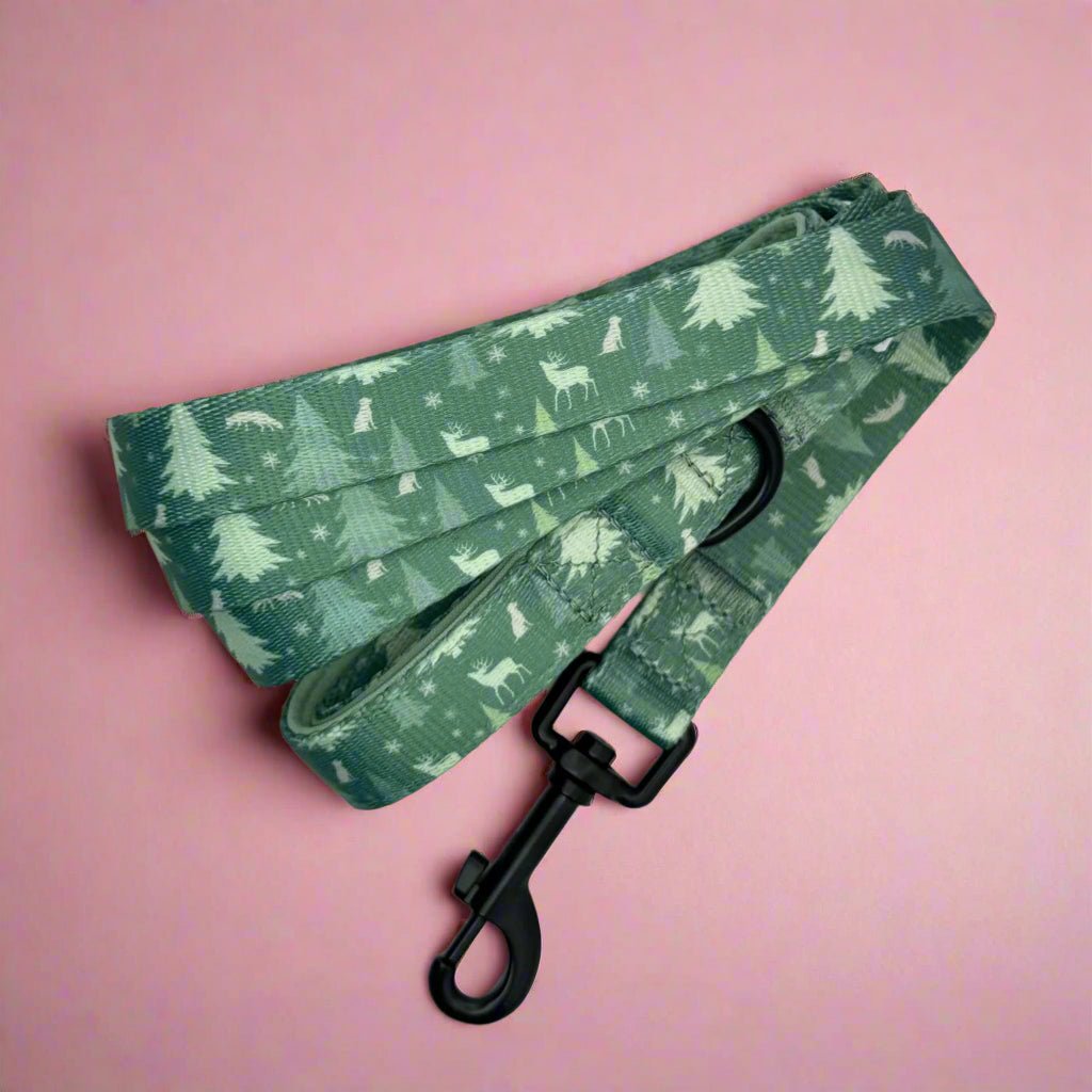 Lead - Evergreen Trails