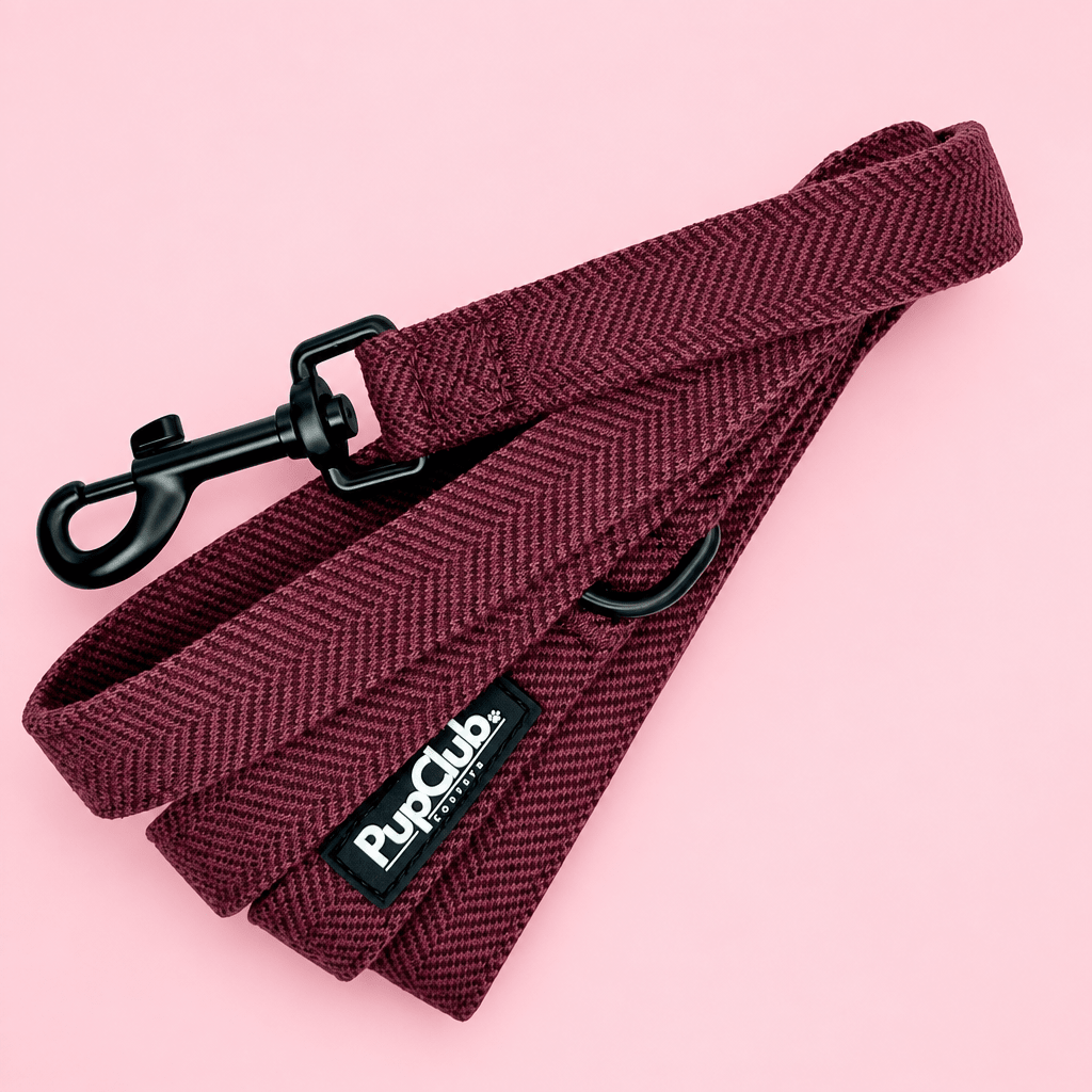 Lead - Berry Tweed