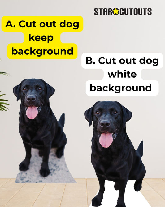 SCCUST3 Custom Cardboard Cut Out Pets/Small Children Maximum Height 90cm