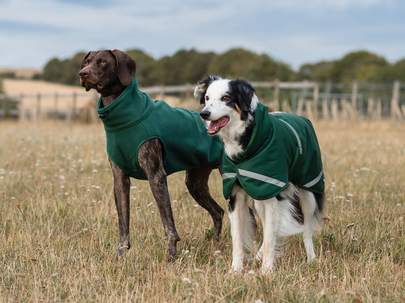 Luxe Waterproof Dog Coat 0g - Hunter Green
